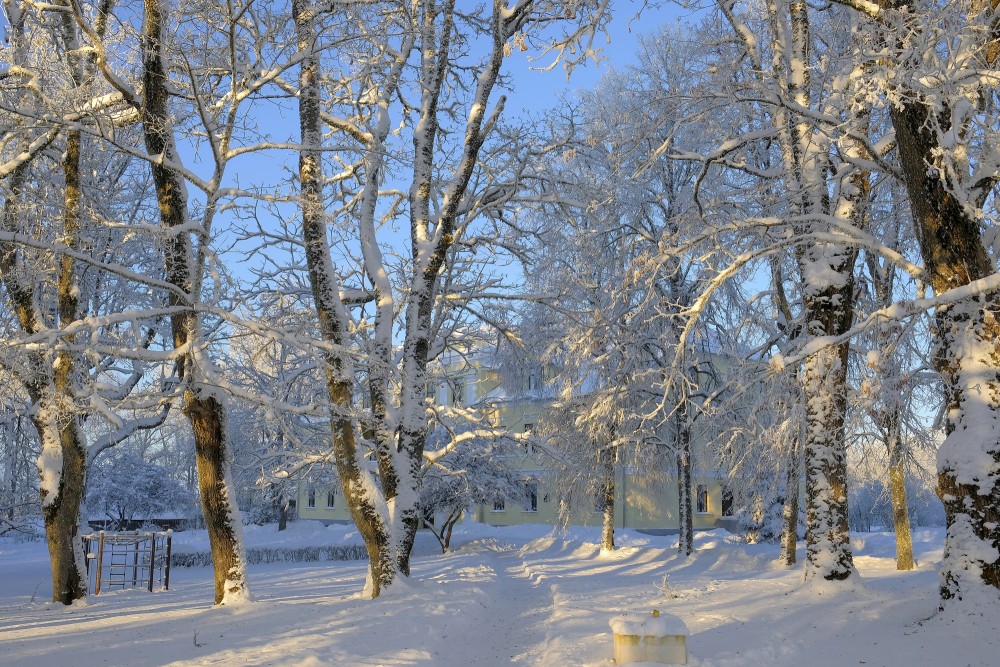 Cēres parks ziemā