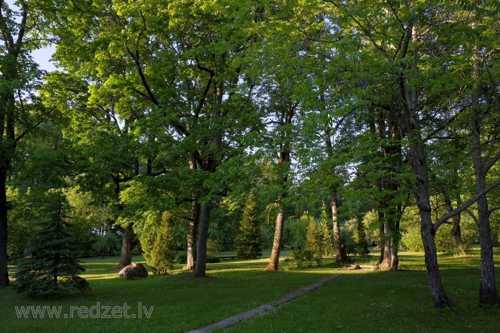 Vārmes muižas parks