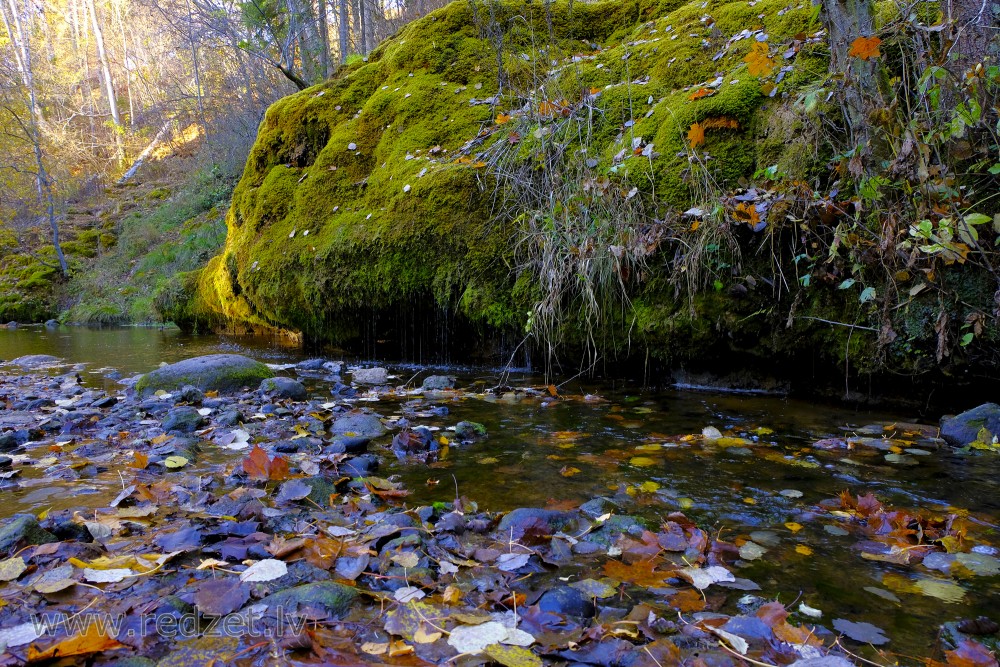 Staburags cliff of Rauna in Autumn, Latvia