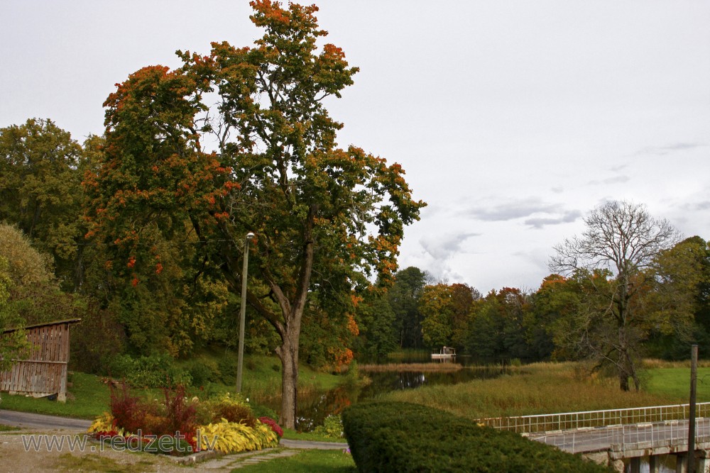 Dundagas pils parka ainava