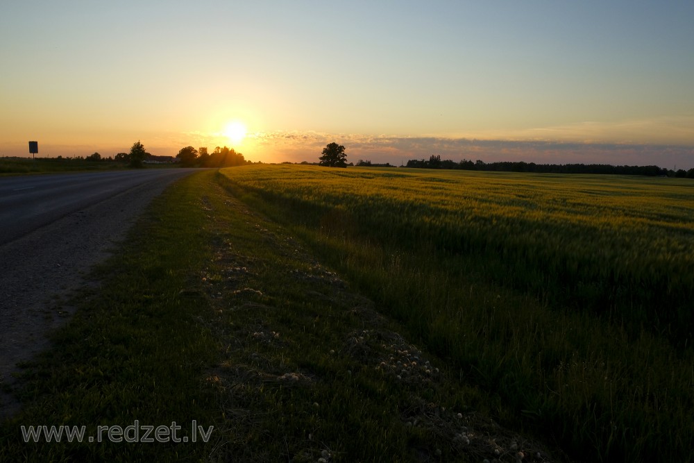 Saulrieta ainava, miežu lauks