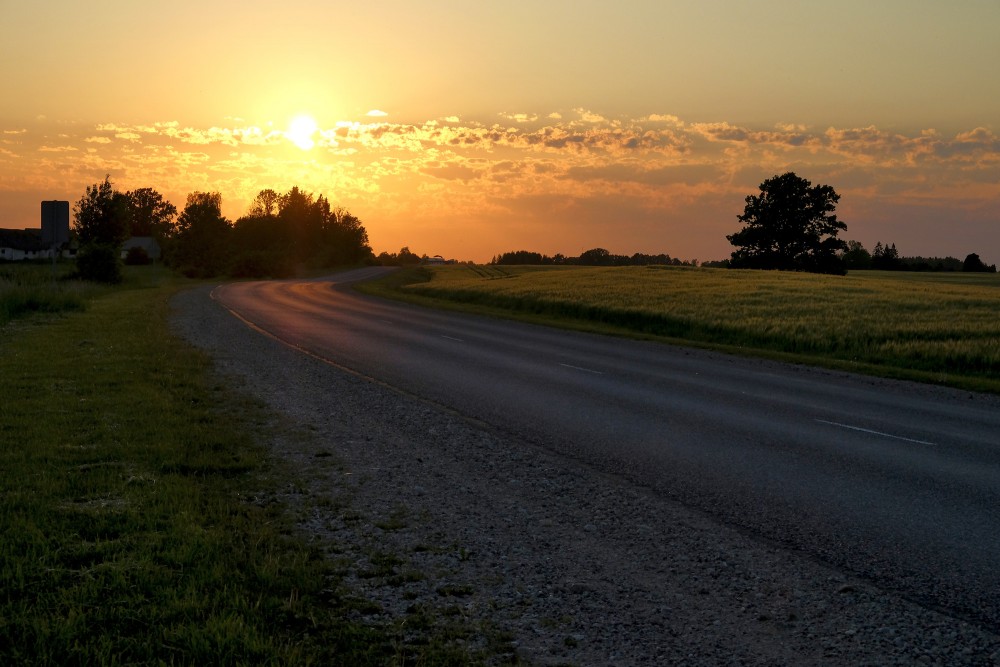 Saulrieta ainava Latvijas laukos