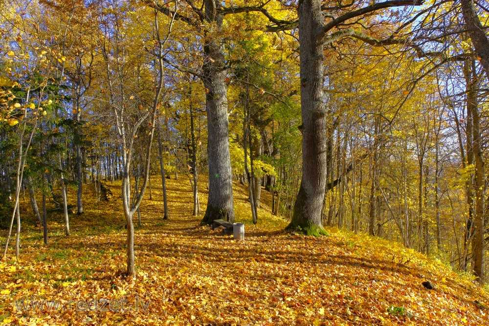 Dzērves kalns (Korneti)