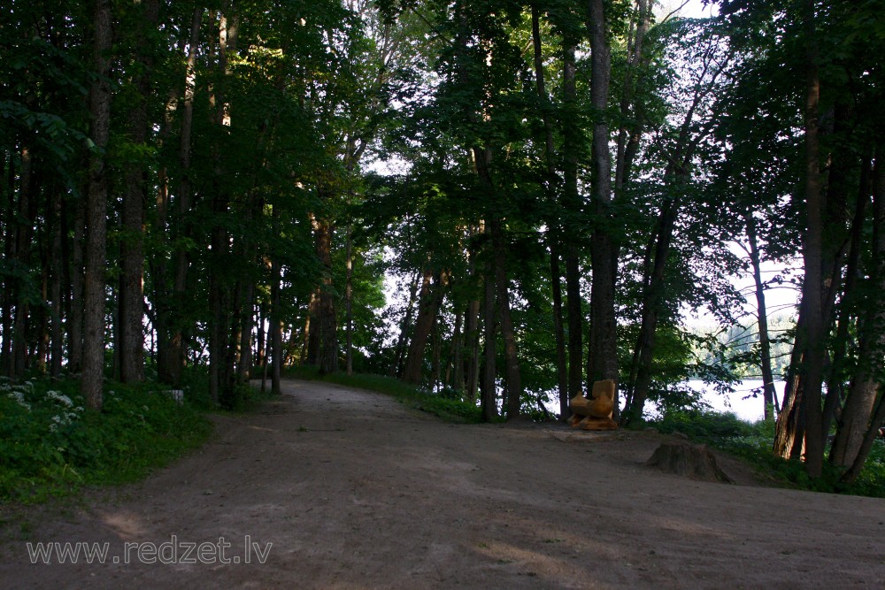 Kokneses dabas parkā