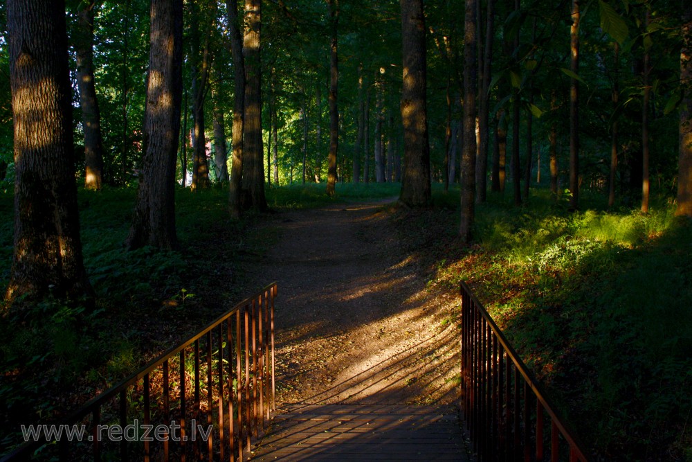 Vakars Kokneses parkā