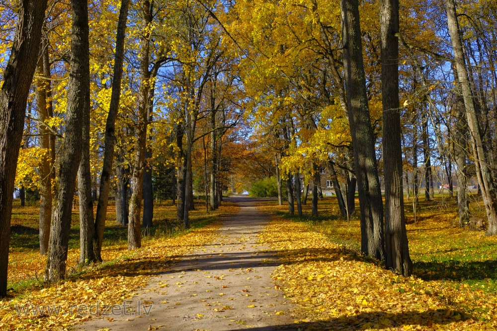 Ziemeru muižas parks