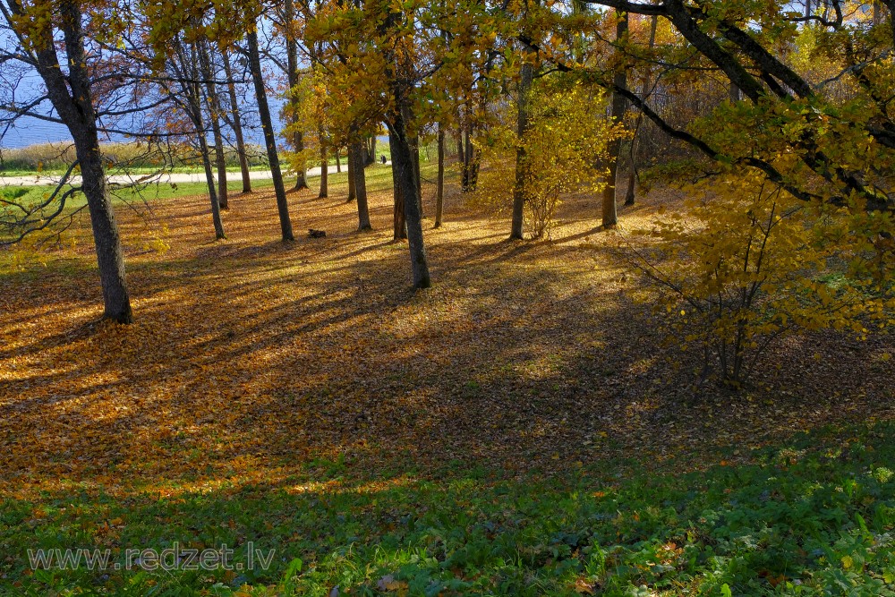  Autumn Landscape