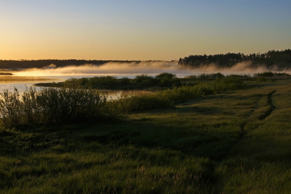 Miglaina rīta ainava