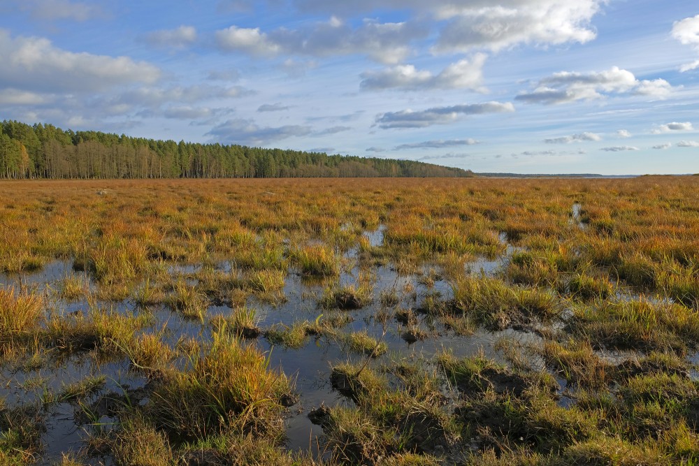 Landscape of the Nature Park "Engure Lake"