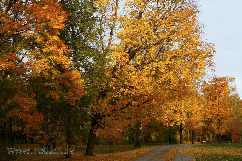 Vanes pils parks rudenī