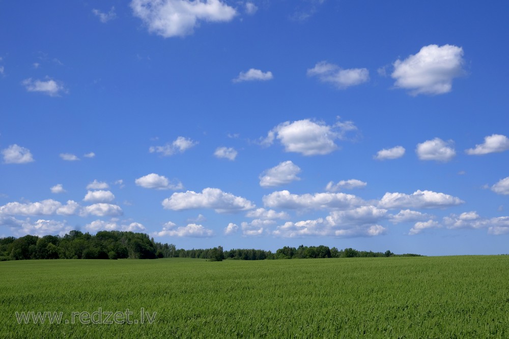 Countryside Landscape With Cumulus Clouds