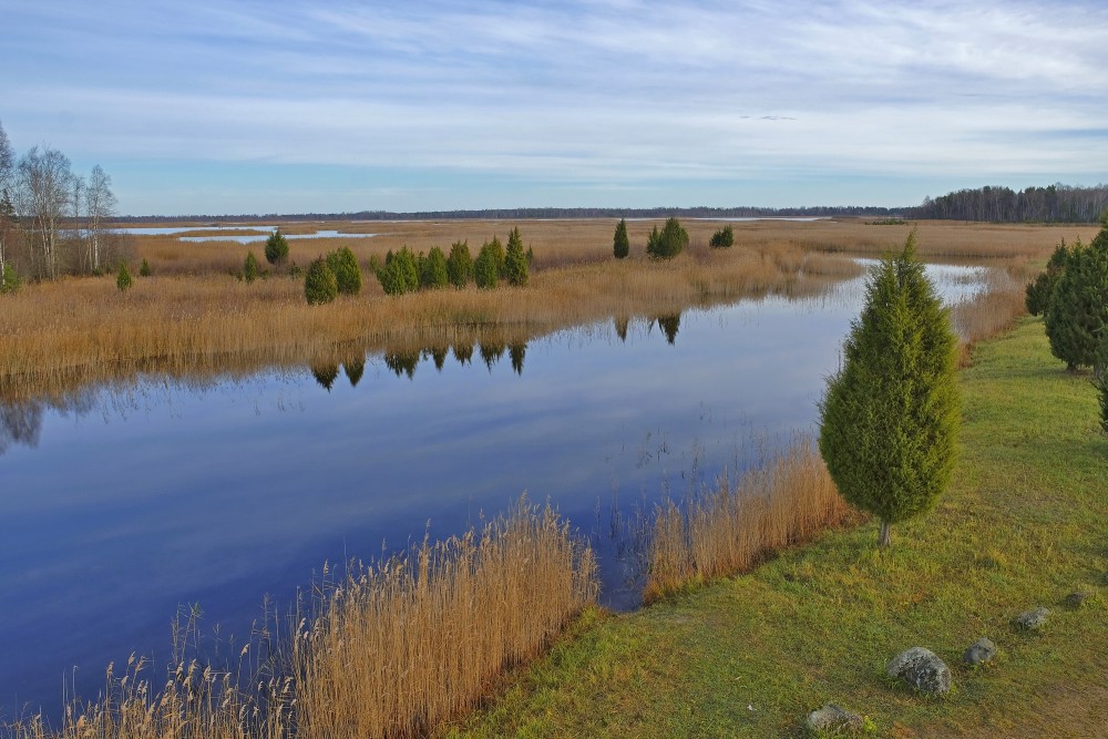 Skats uz Kaņieri no putnu vērošanas torņa Skats uz Kaņieri no putnu vērošanas torņa