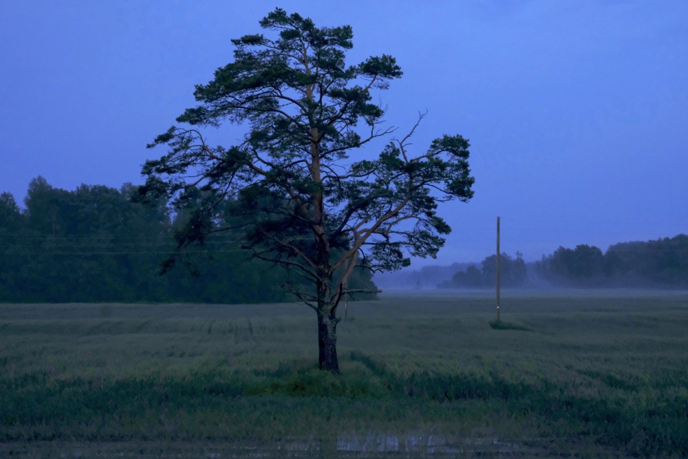 Nakts ainava ar priedi