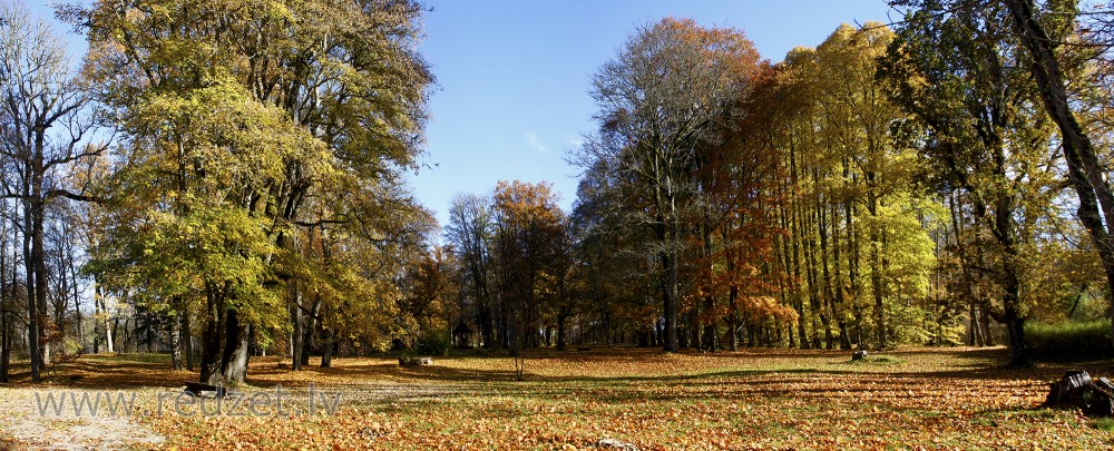 Ēdoles pils parka panorāma rudenī Ēdoles pils parka panorāma rudenī
