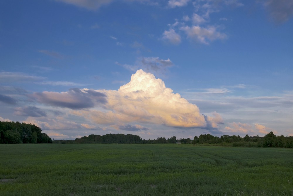 Large Cumulus Cloud