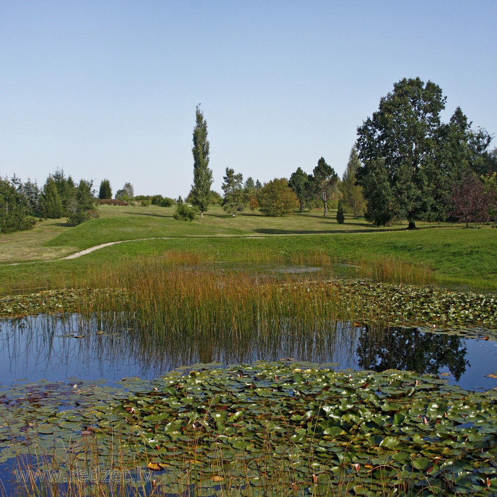 Kalsnavas arborētuma ainava