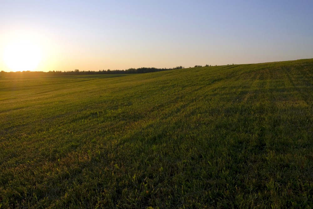 Sunset Landscape in a Mowed Meadow