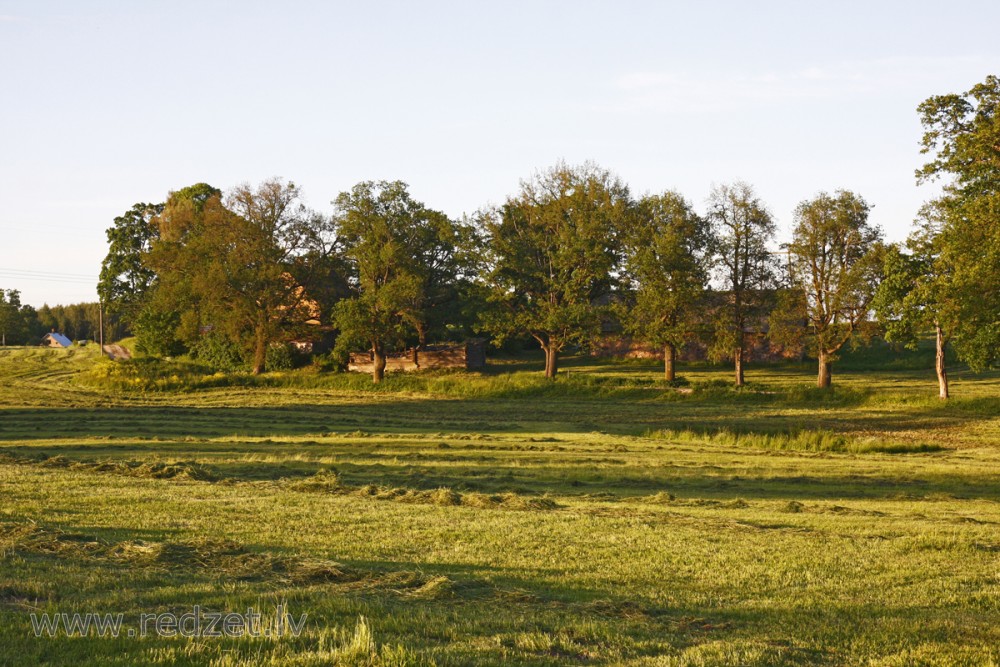 Nopļauta pļava