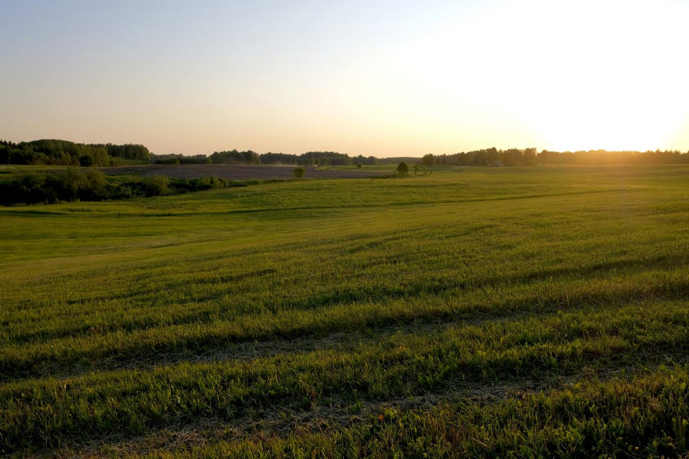 Sunset Landscape in the Countryside