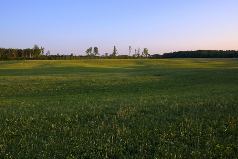 Evening landscape, Countryside