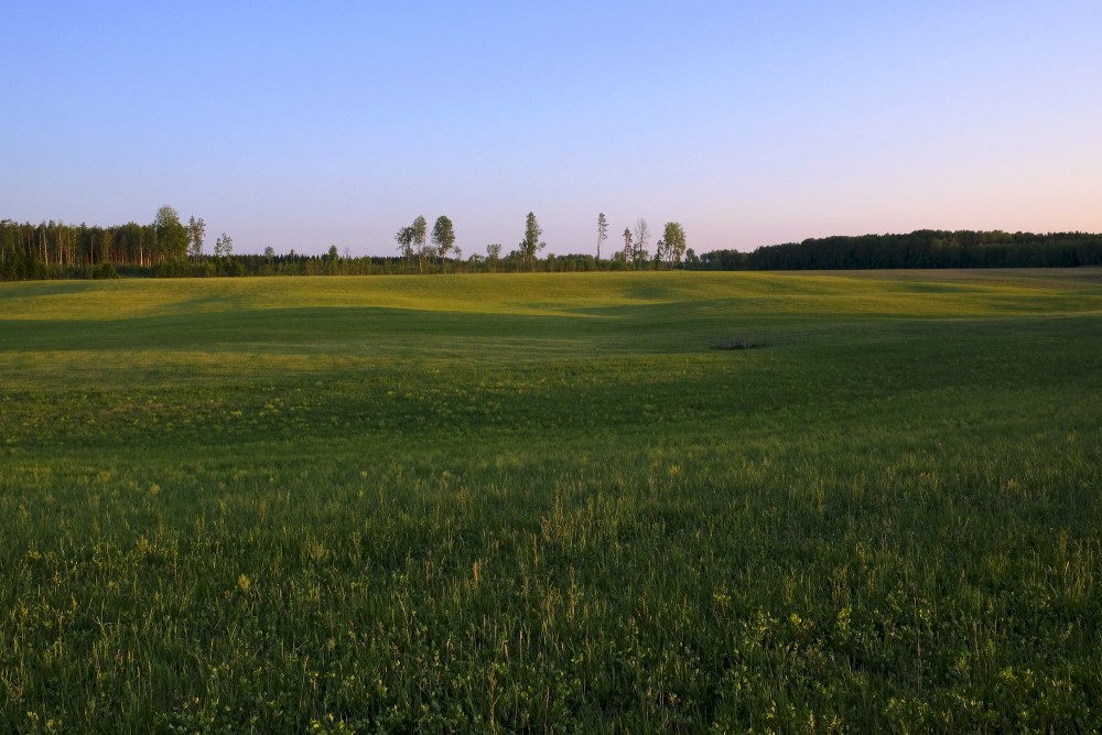 Vakara ainava, lauki