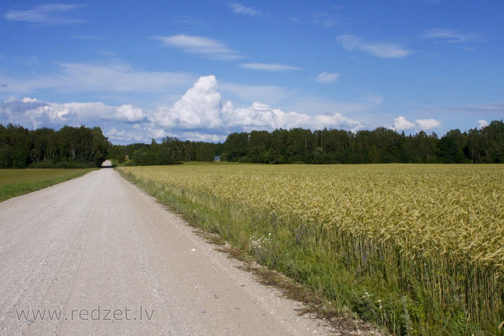 Rural Landscape