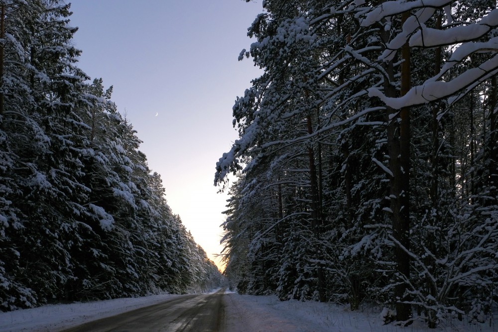 Road through a Snowy Forest, Evening Landscape