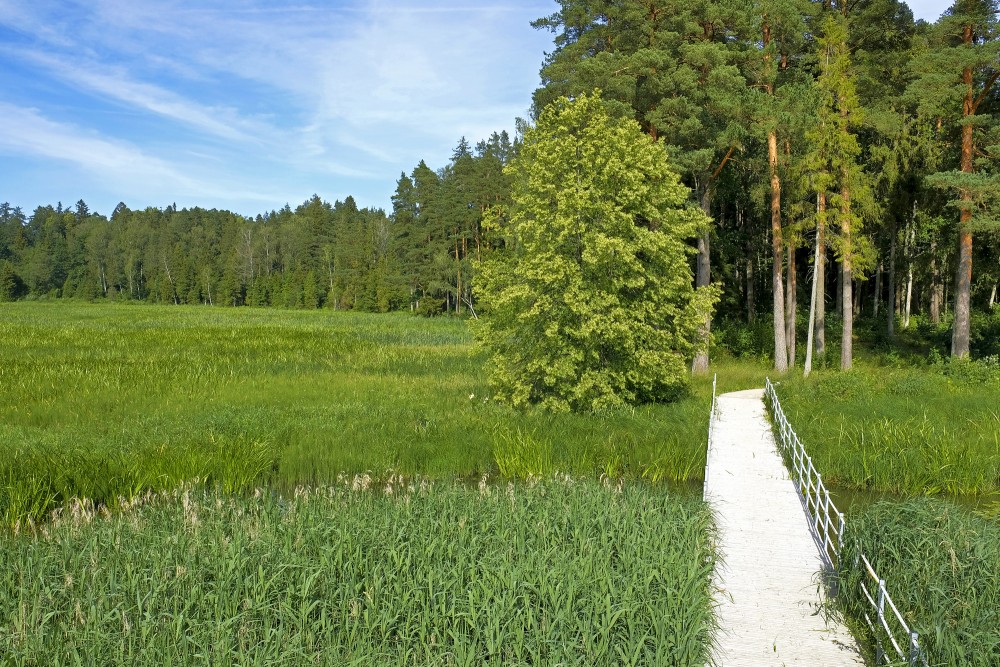 Valātas parka daļa Kazdangā
