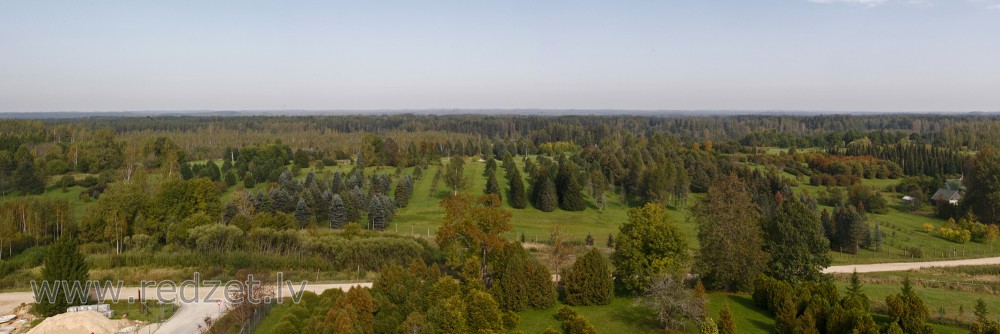 Panorāmas skats no Kalsnavas arborētuma skatu torņa