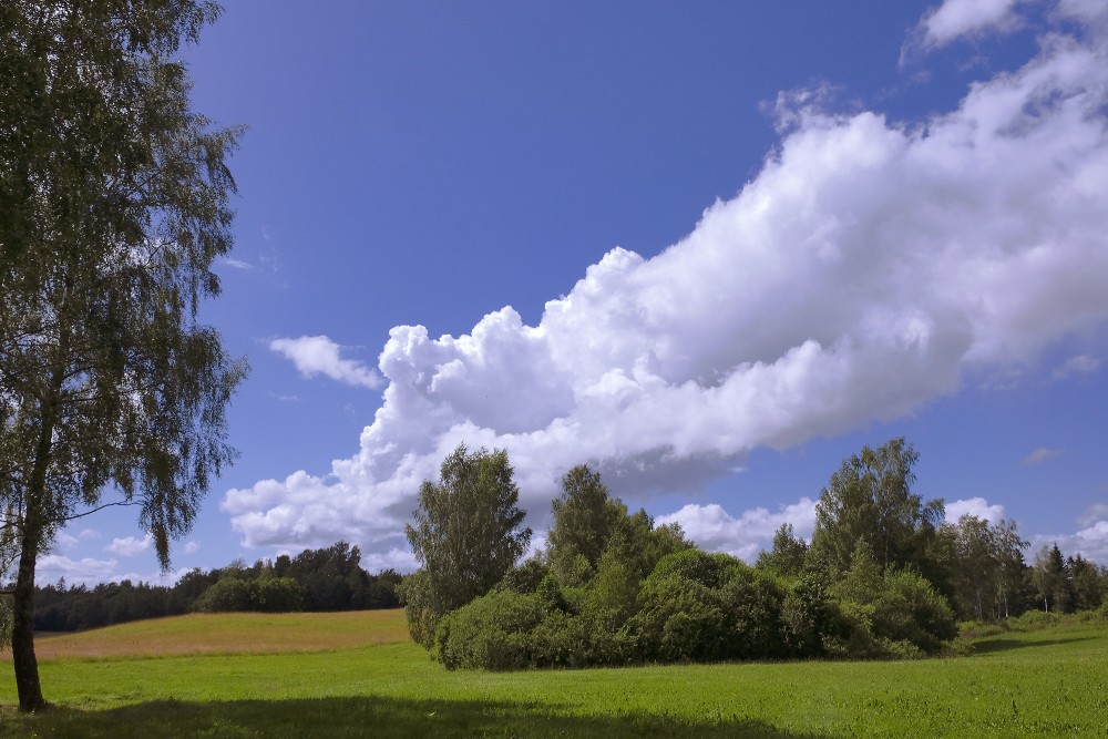 Large Cumulus Cloud