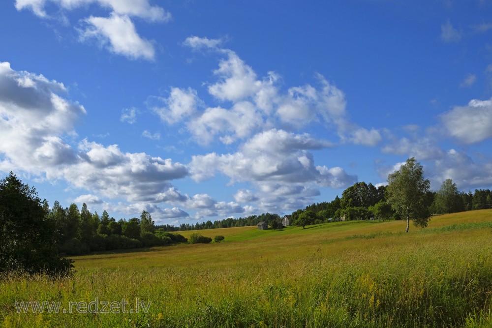 Countryside Landscape With Cumulus Clouds