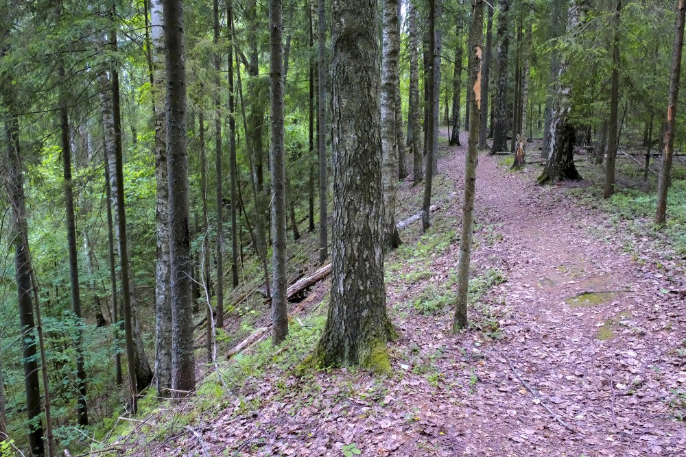 Vedze Nature Trail