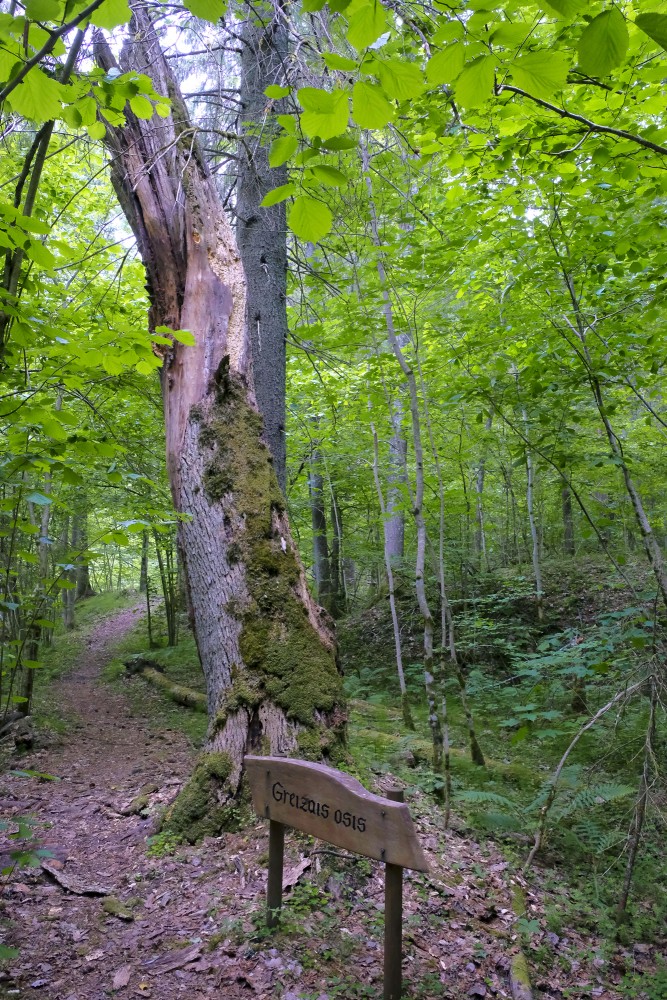 Vedze Nature Trail