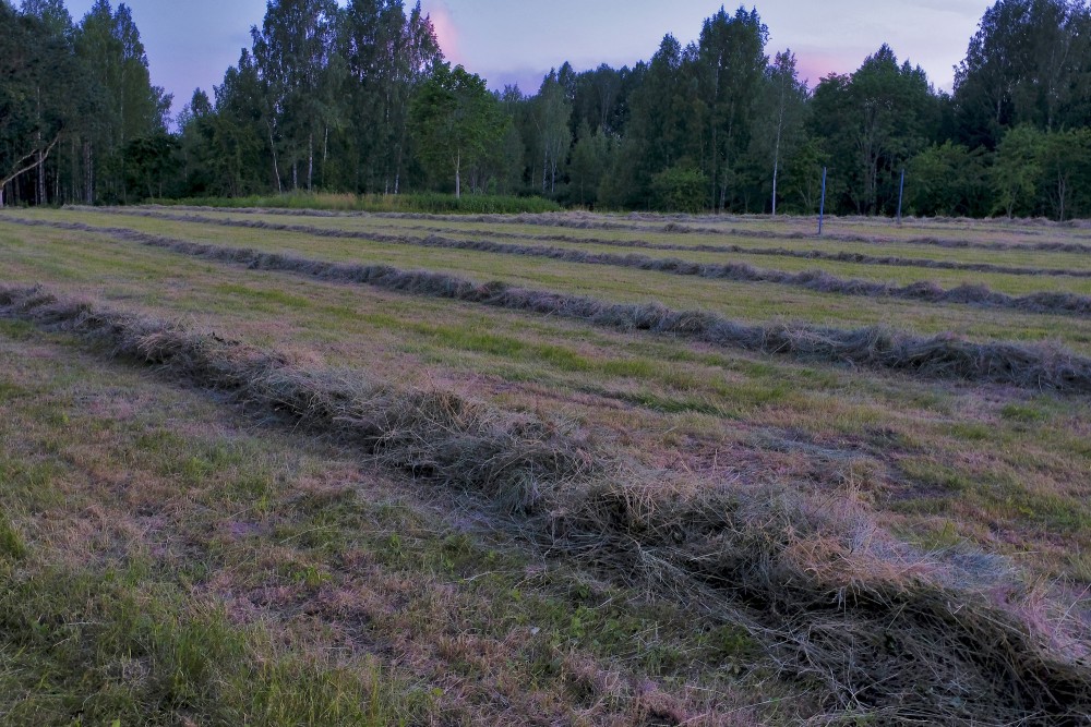 Vakara ainava ar siena vāliem