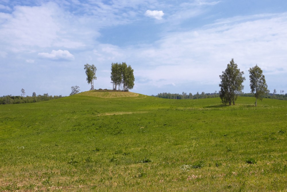 Landscape with Birch Trees on a Hill