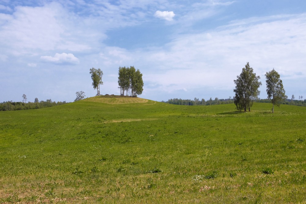 Ainava ar bērziem pakalnā