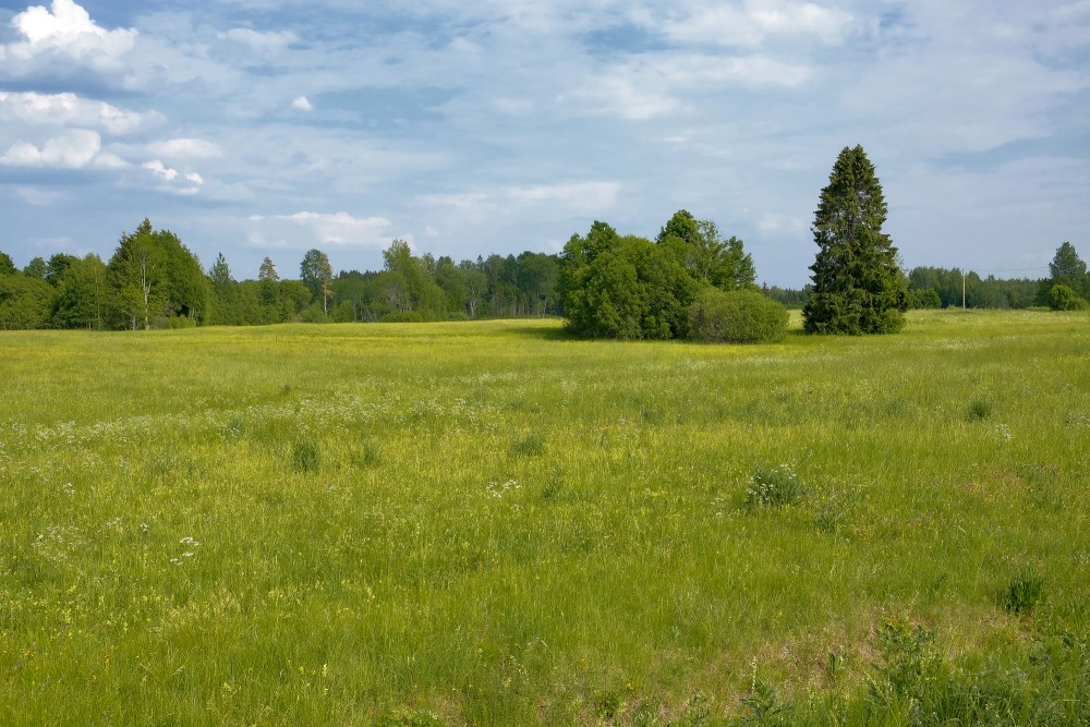 Lauku ainava, pļava, debesis