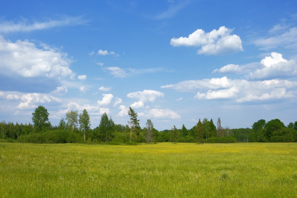 Lauku ainava, pļava, debesis