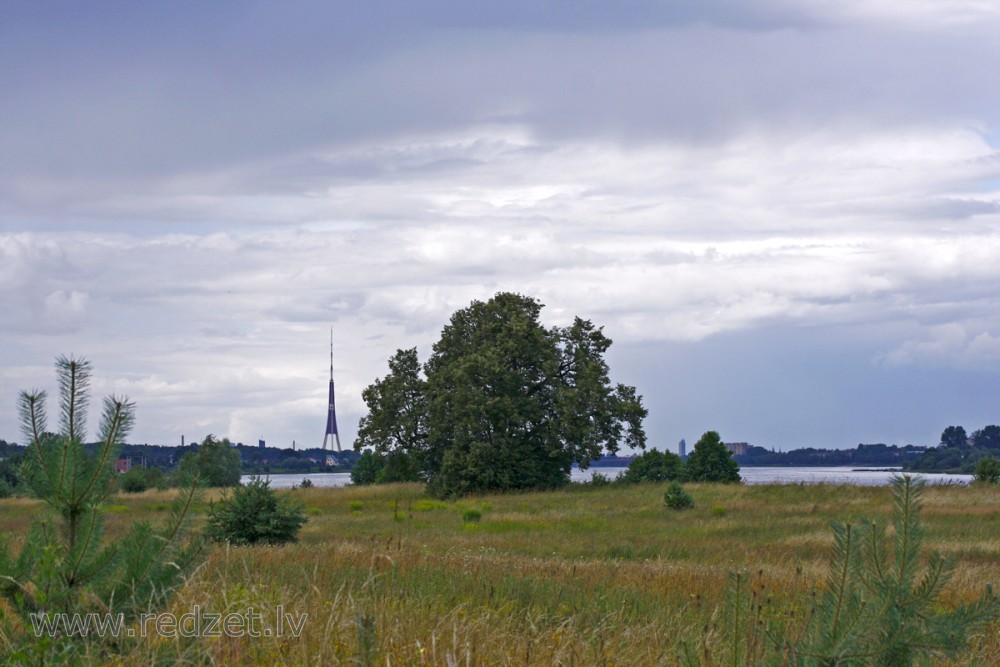 Skats no Doles salas