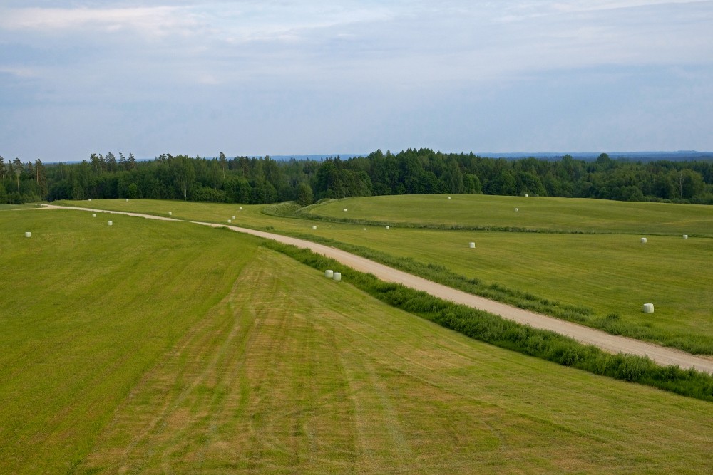 Rural Landscape Seen from Above