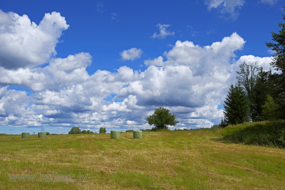 Ainava ar gubumākoņiem un siena ruļļiem