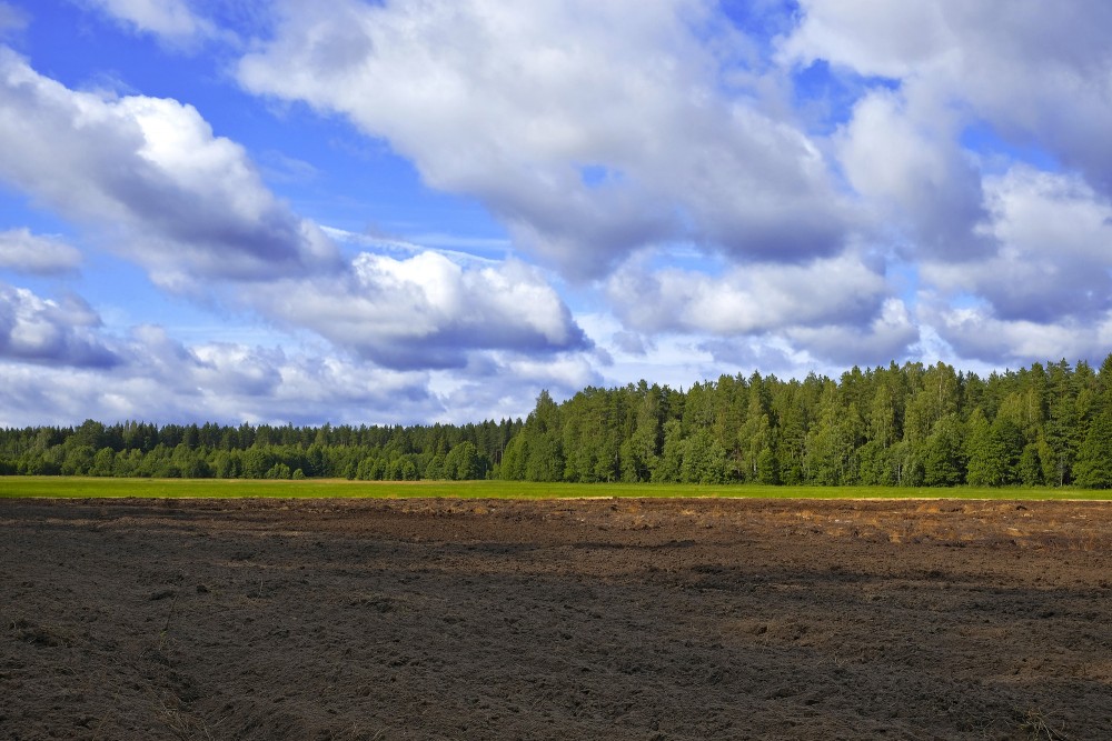 Ainava ar uzartu lauku un mežu tālumā Ainava ar uzartu lauku un mežu tālumā