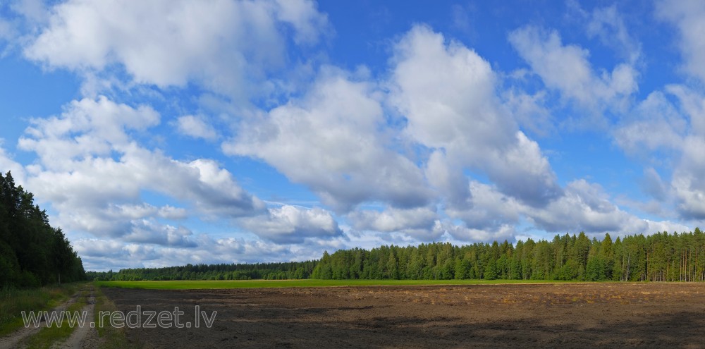 Panorama With Cumulus Clouds And Plowed Field