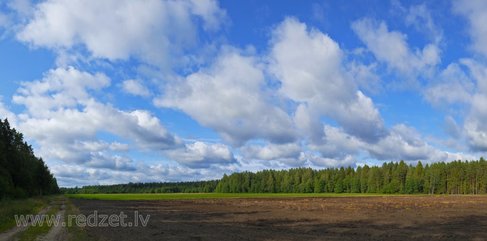 Panorāma ar uzartu lauku meža ielokā