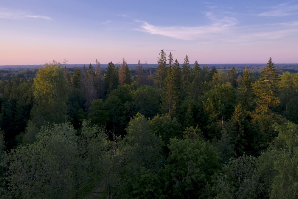 View from the Dēliņkalns Observation Tower