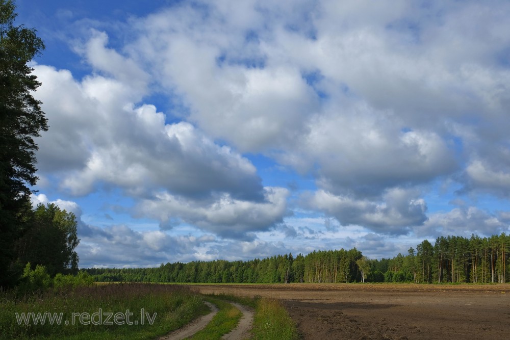 Landscape With Cumulus Clouds And Plowed Field
