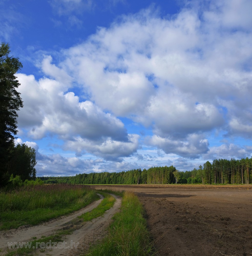 Landscape With Cumulus Clouds And Plowed Field