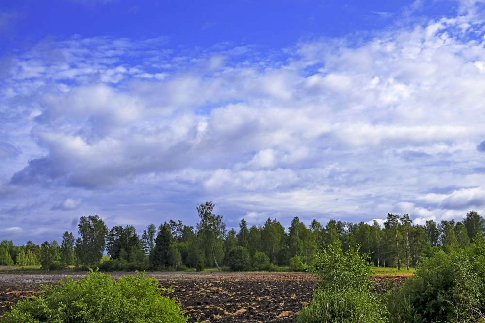 Lauku ainava, uzarts lauks Lauku ainava, uzarts lauks