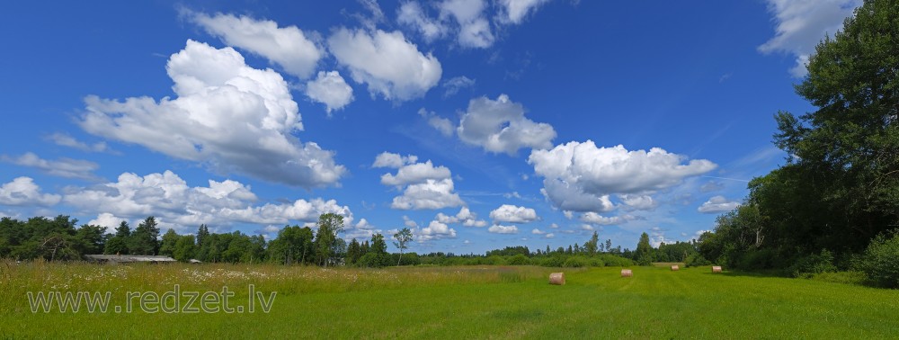 Rural Panorama with Hay Rolls,