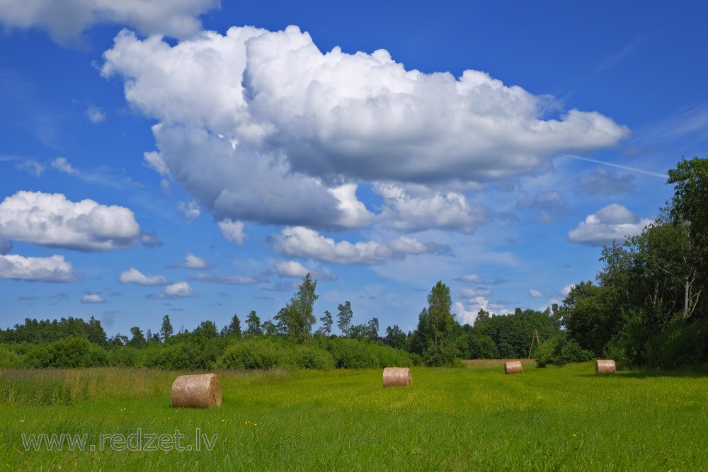 Pļava ar siena ruļļiem, gubumākoņi